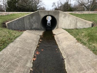 Improve Drainage