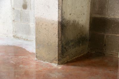 Prevent Flooding and Structural Damage