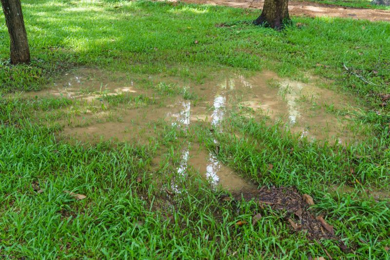 Enhance Your Landscaping By Getting Soggy Yard Repair Service!
