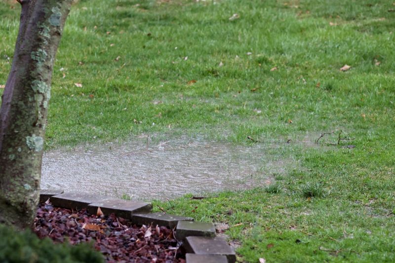 Improve The Functionality of Your Outdoor Space By Investing in Professional Help!