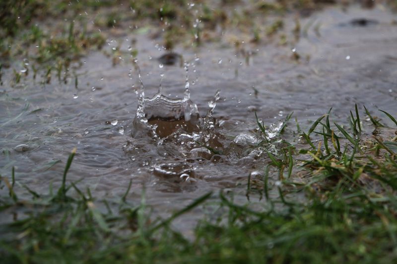 Prevent Pest Infestations By Getting your Soggy Yard Professionally Repaired!