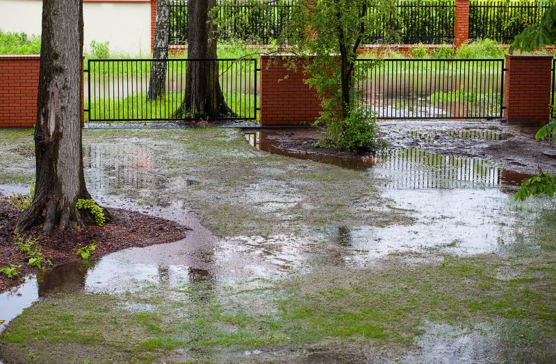 Soggy Yard Repair