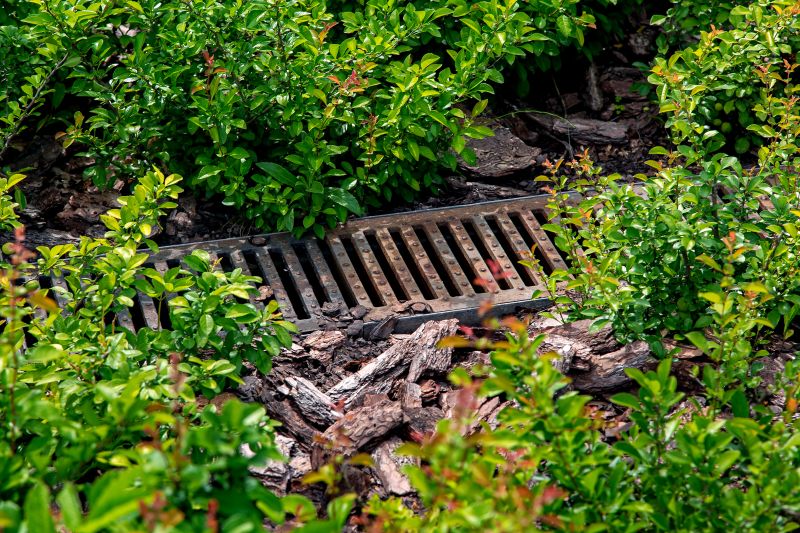 Get Professional Yard Drain Replacement To Improve Water Drainage!