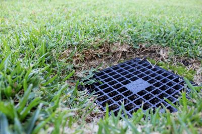 Yard Drainage Can Preserve the Health of Your Grass and Plants!